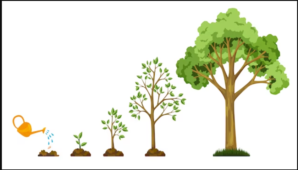 Groei van een plant naar een boom, symboliserend persoonlijke ontwikkeling en stressbeheersing op de werkplek.